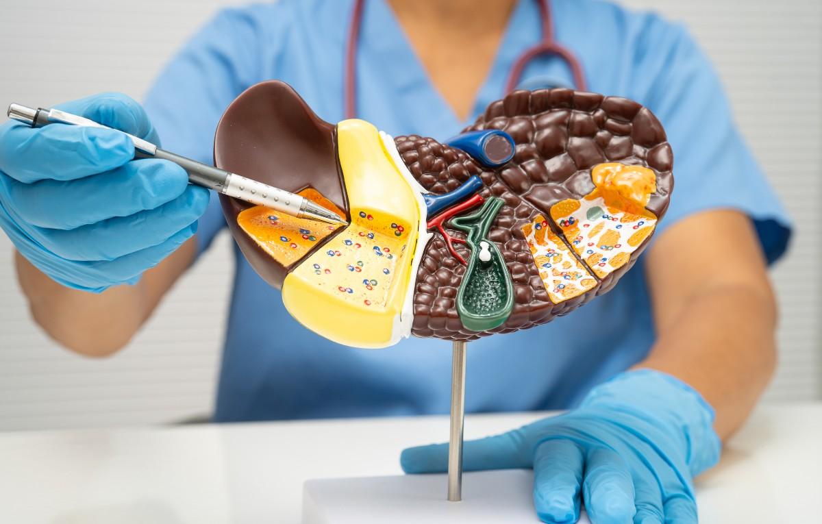 best gastroenterologist in Los Angeles